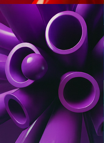 알파 존 모험 체험